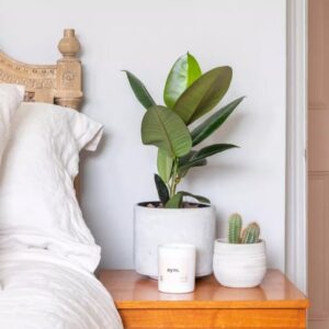 Image product 11.2 min